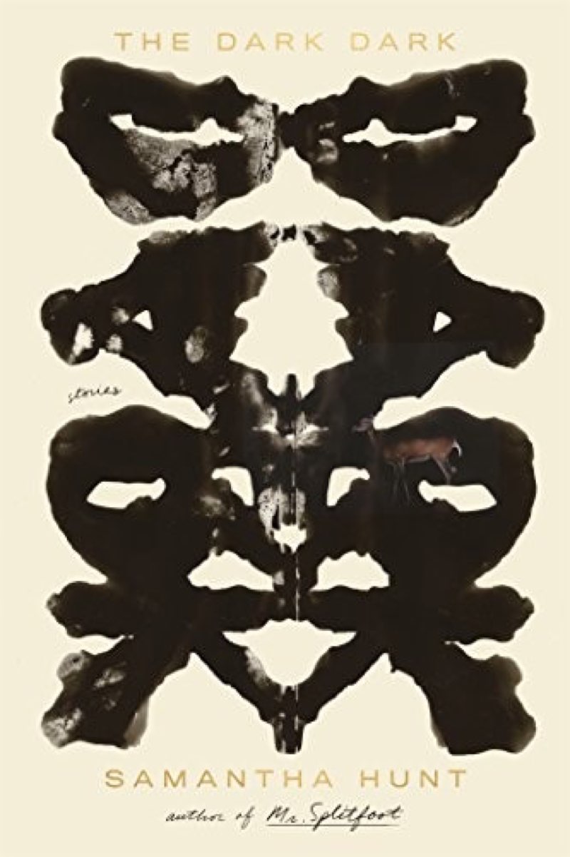 The Dark Dark by Samantha Hunt book cover