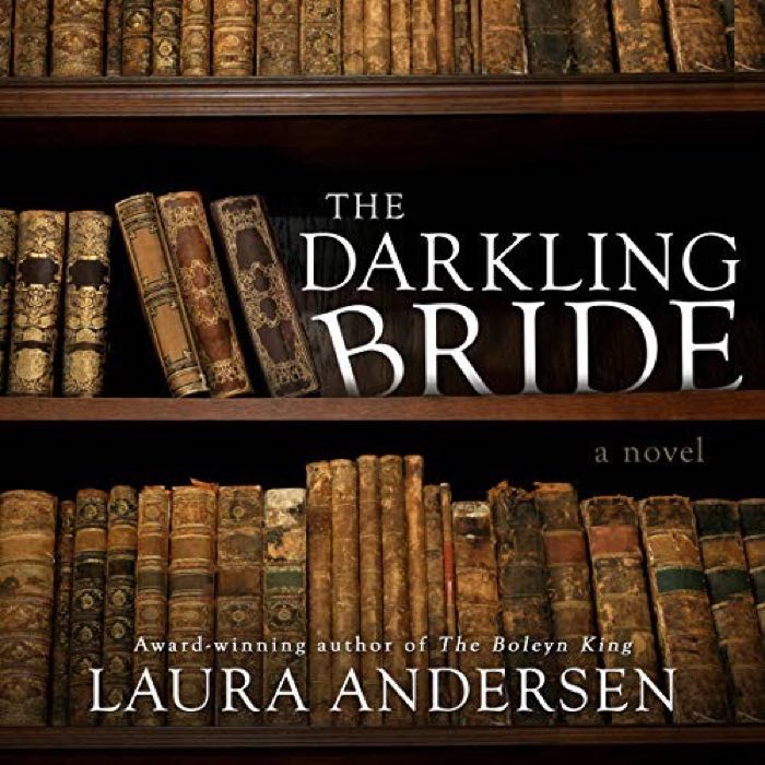 The Darkling Bride by Laura Andersen book cover