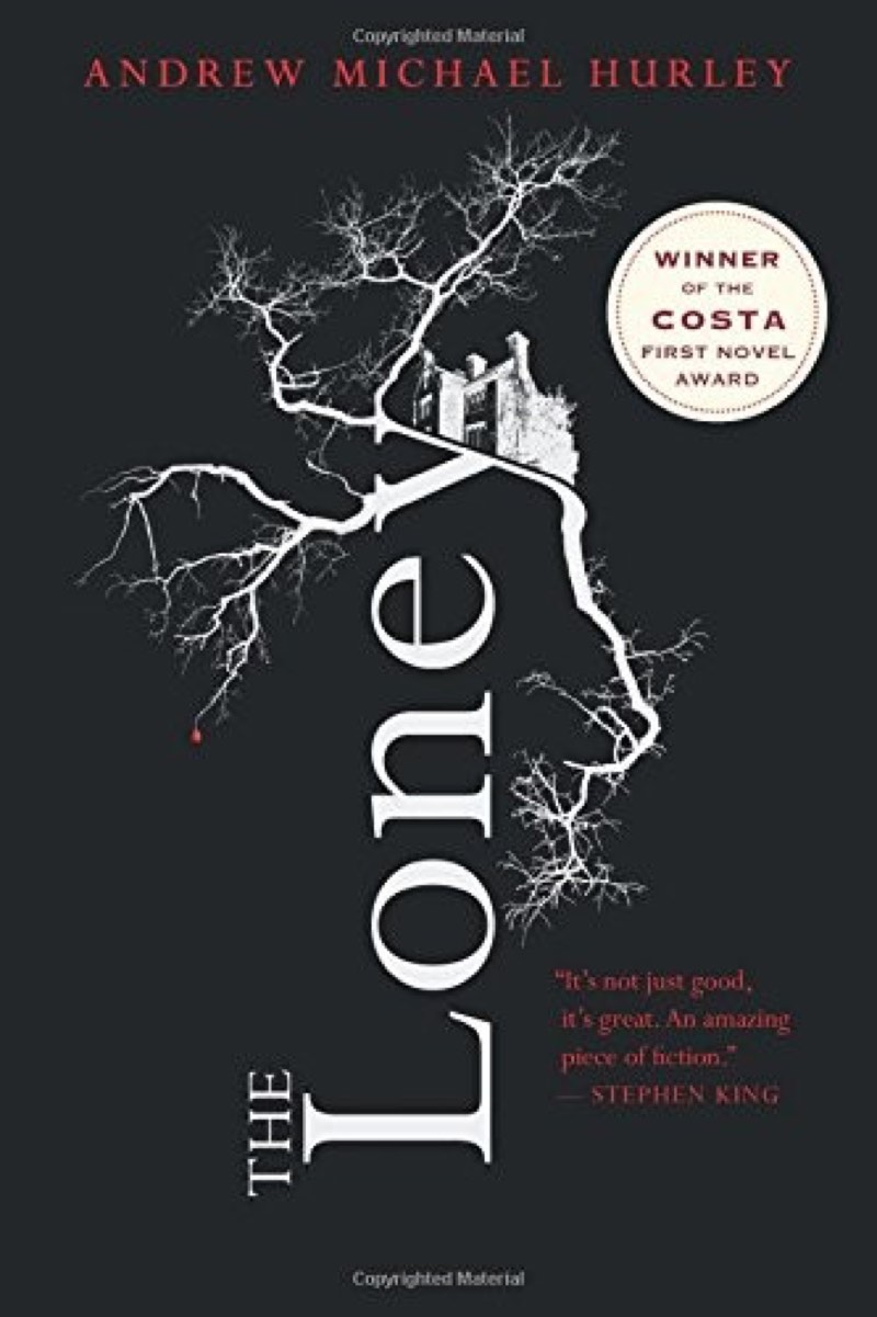 The Loney by Andrew Michael Hurley book cover