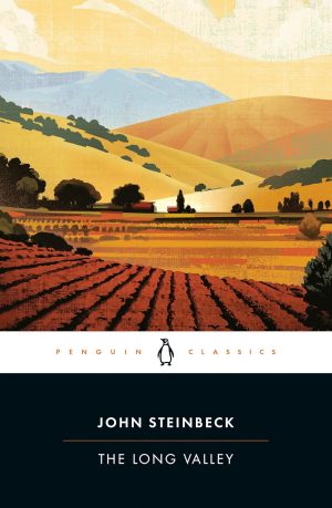 The Long Valley cover