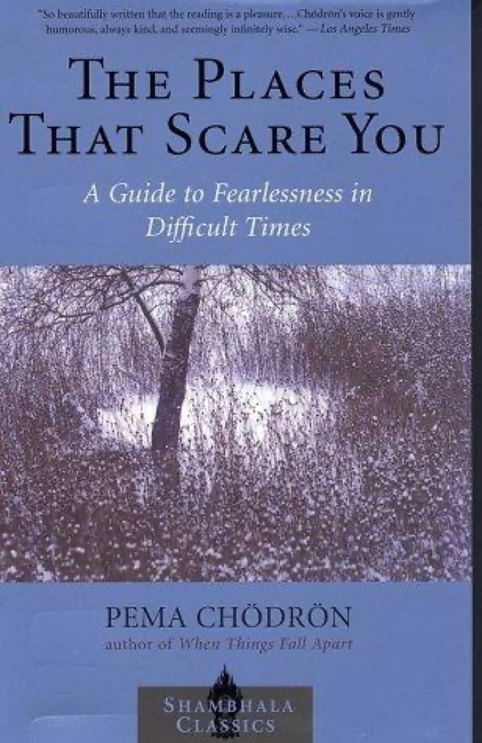 The Places That Scare You by Pema Chödrön