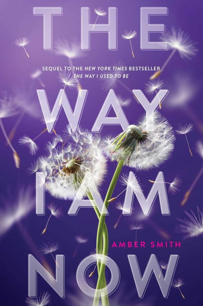 The Way I Am Now by Amber Smith book cover