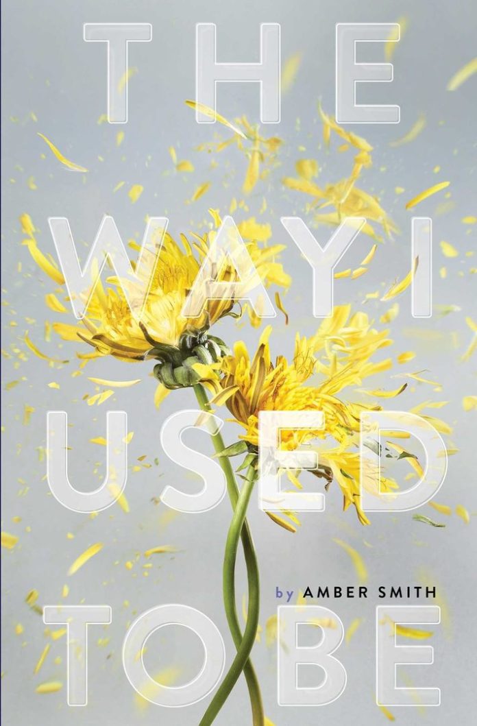 The Way I Used to Be by Amber Smith book cover