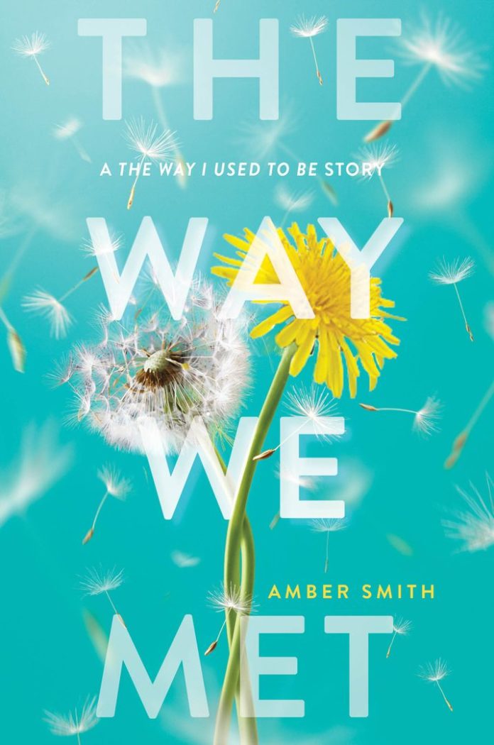 The Way We Met by Amber Smith book cover