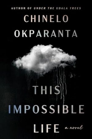 This Impossible Life: A Novel cover