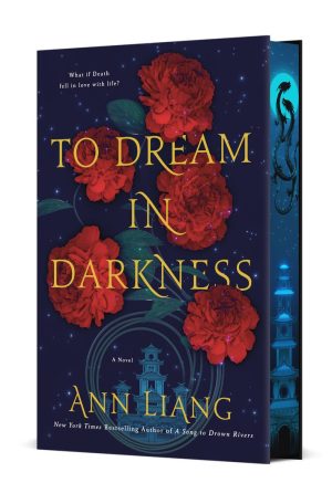 To Dream in Darkness cover