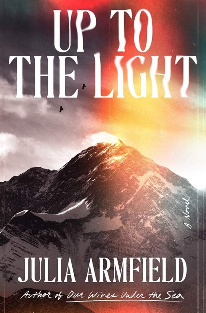 Up to the Light by Julia Armfield book cover